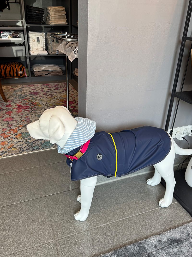 Dogs Paradise